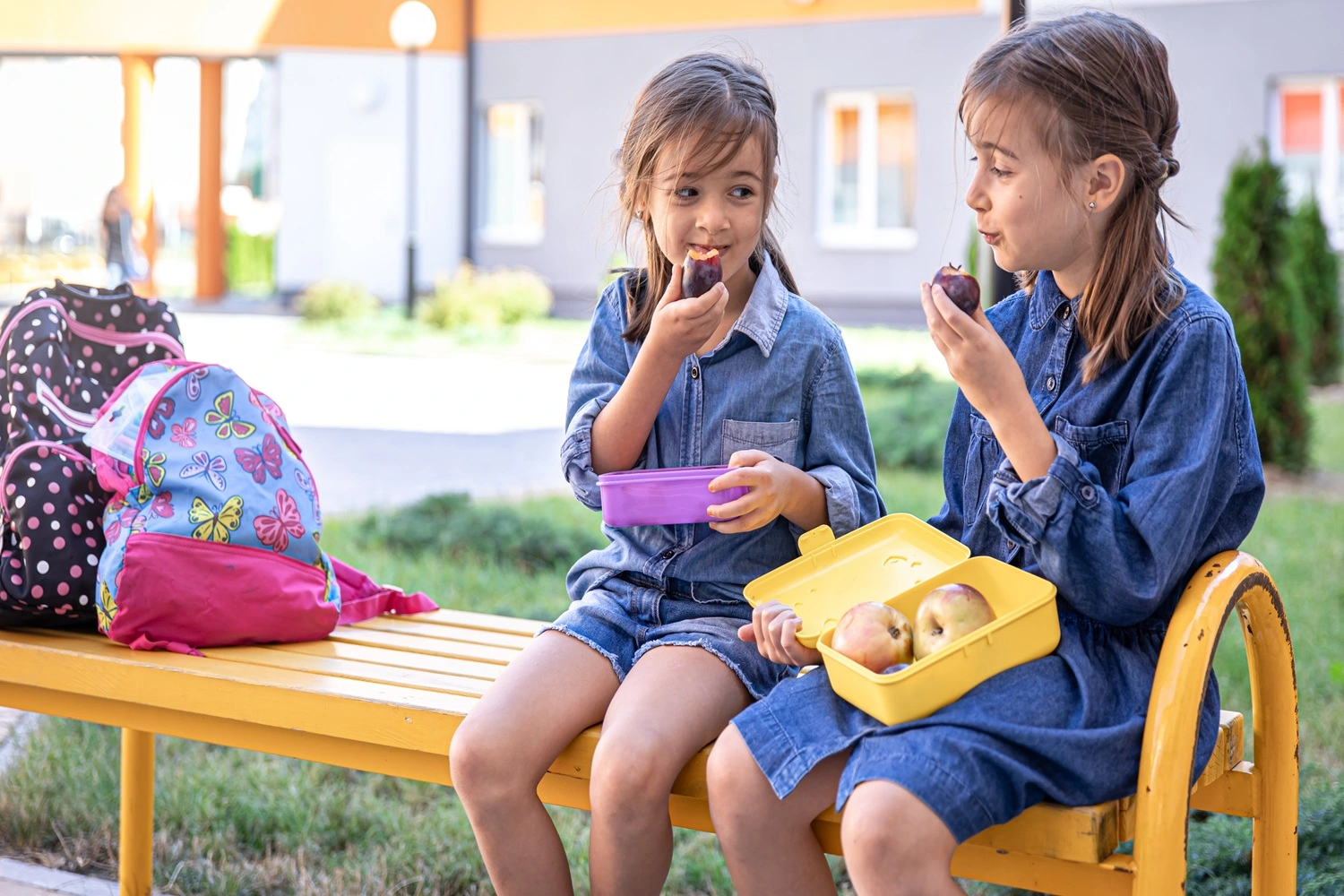 Best Lunch Boxes for School Kids in India (2026 Guide)